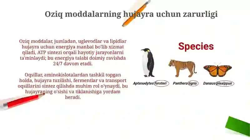 Ularning hujayradagi oziqlanish va transportdagi roli boʻyicha klassifikatsiyasi 4