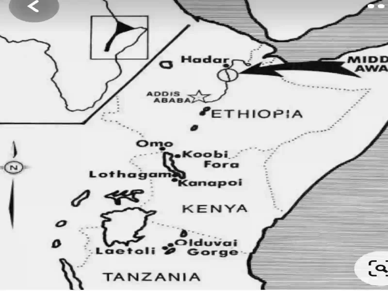 Australopithekusgarhi 4