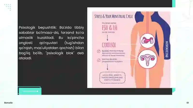 Borcelle 4