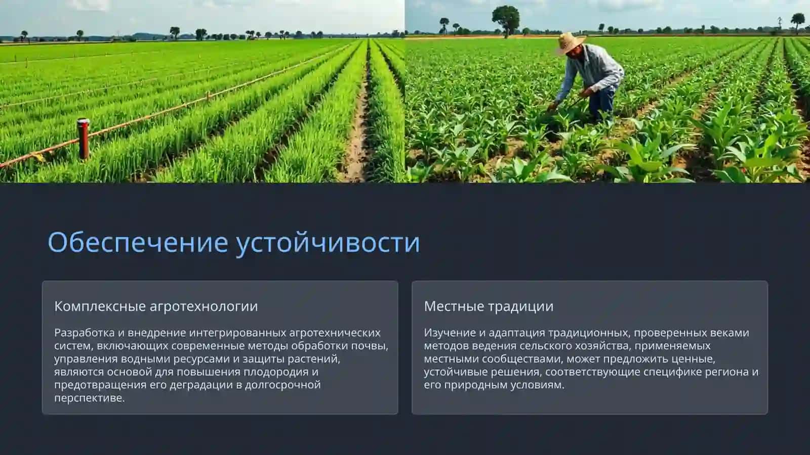 Плодородие почв Узбекистана 4