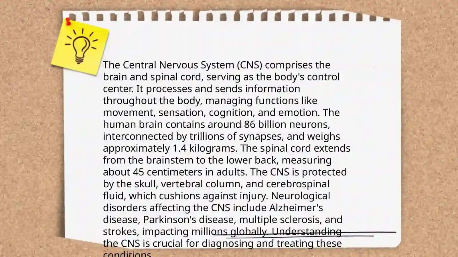 Presentation on Nervous System 4