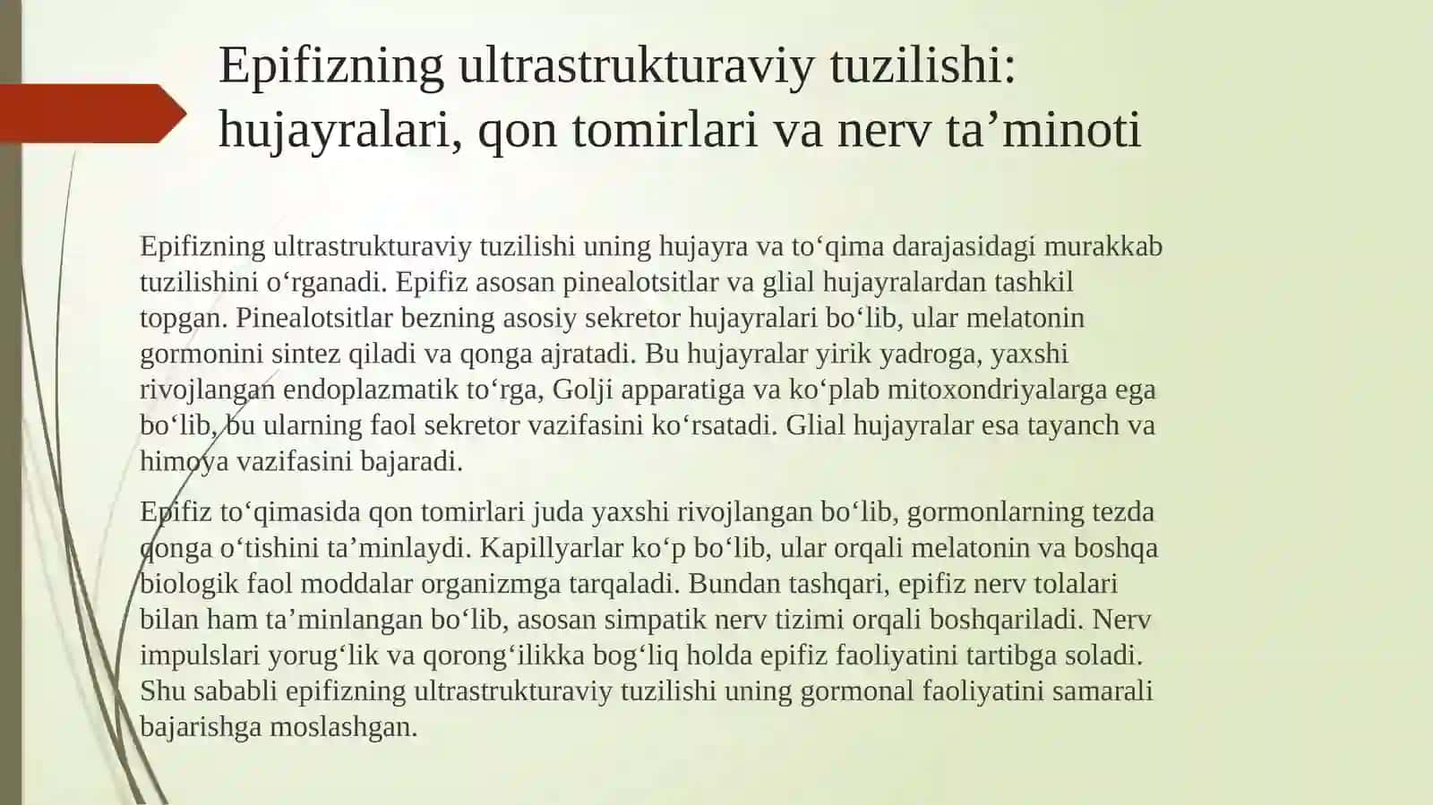 Epifizning ultratuzilishi va funksiyasi 4