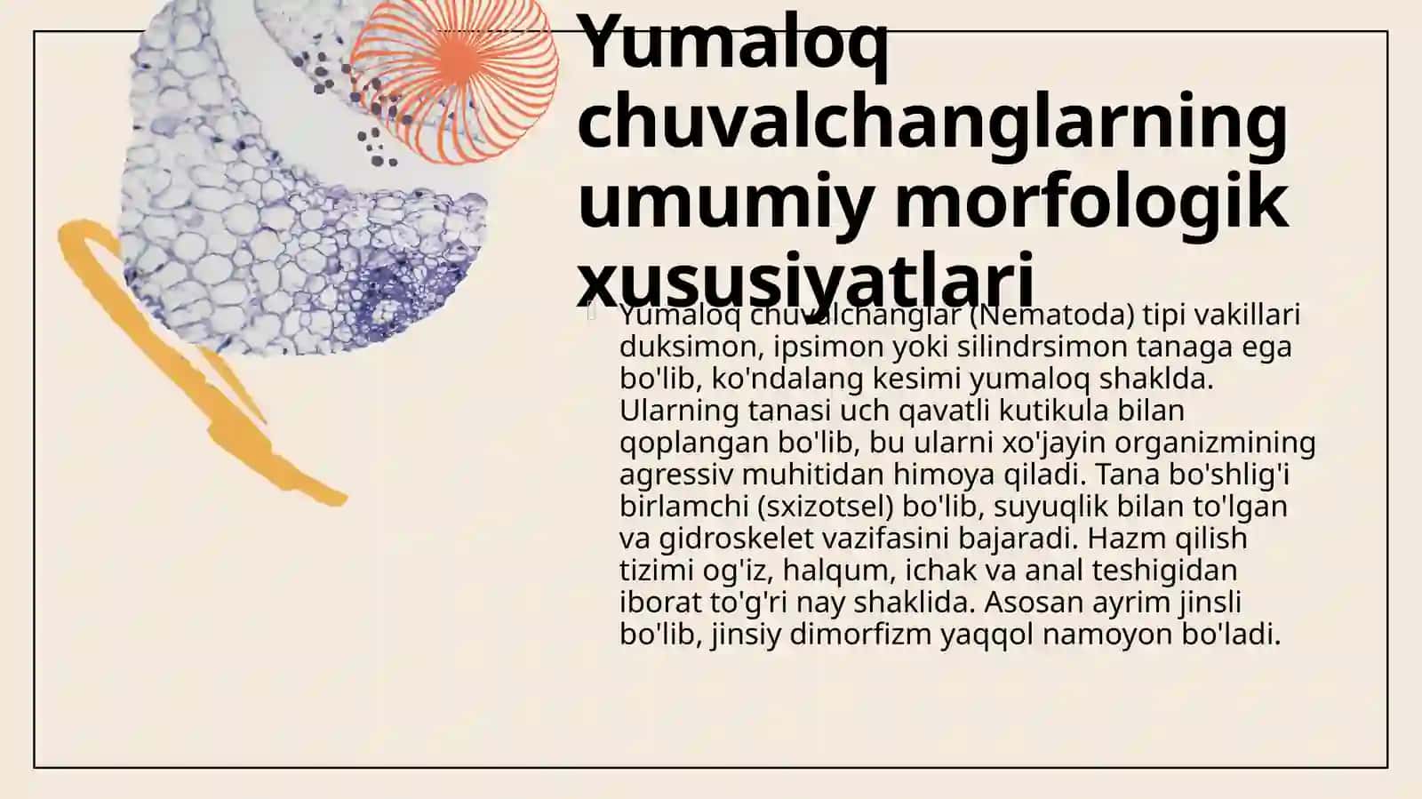Yumaloq chuvalchanglar - odam parazitlari va ularning odam salomatligiga ta'siri 4