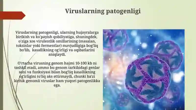 Viruslar va Prokaryotik Hujayralar O'rganish Usullari 4