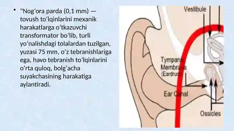 Distant sensor tizimlari 4