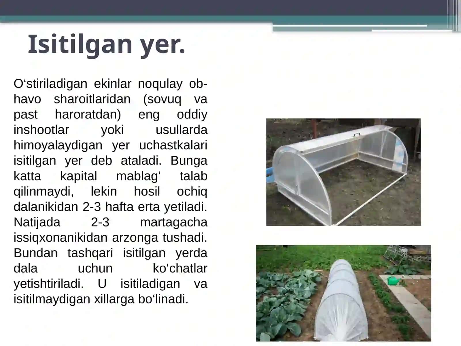HIMOYALANGAN YER INSHOOTLARI TURLARI, TUZILISHI VA VAZIFALARI 4