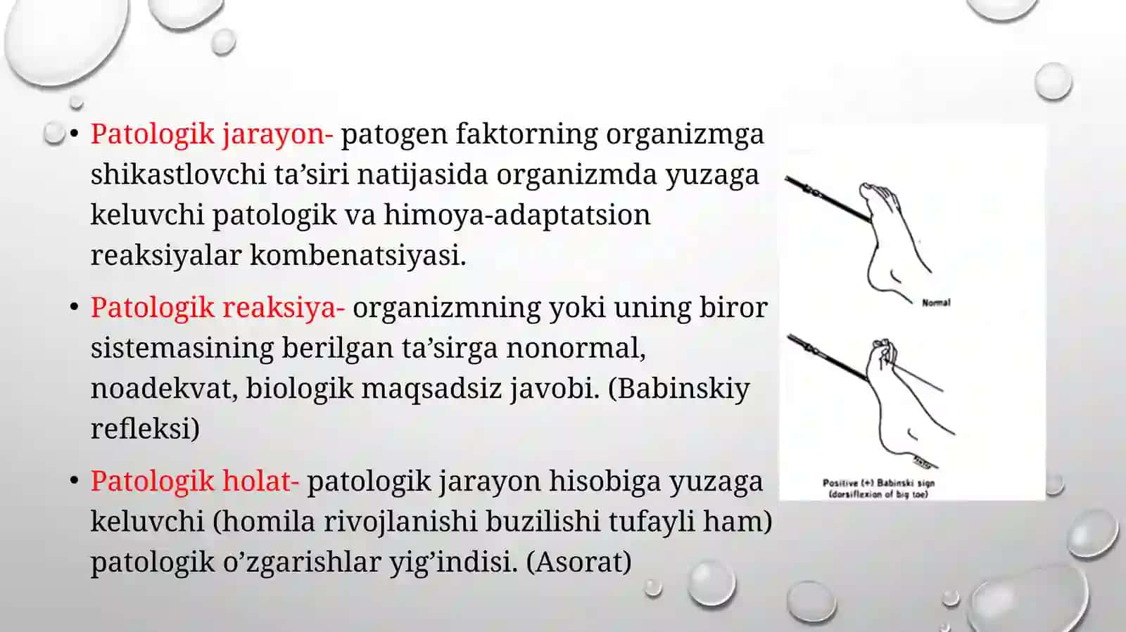Patologik reflekslar 4