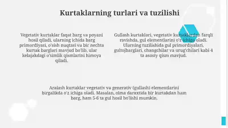 Poyaning tuzilishi va kurtaklarning tasnifi 4