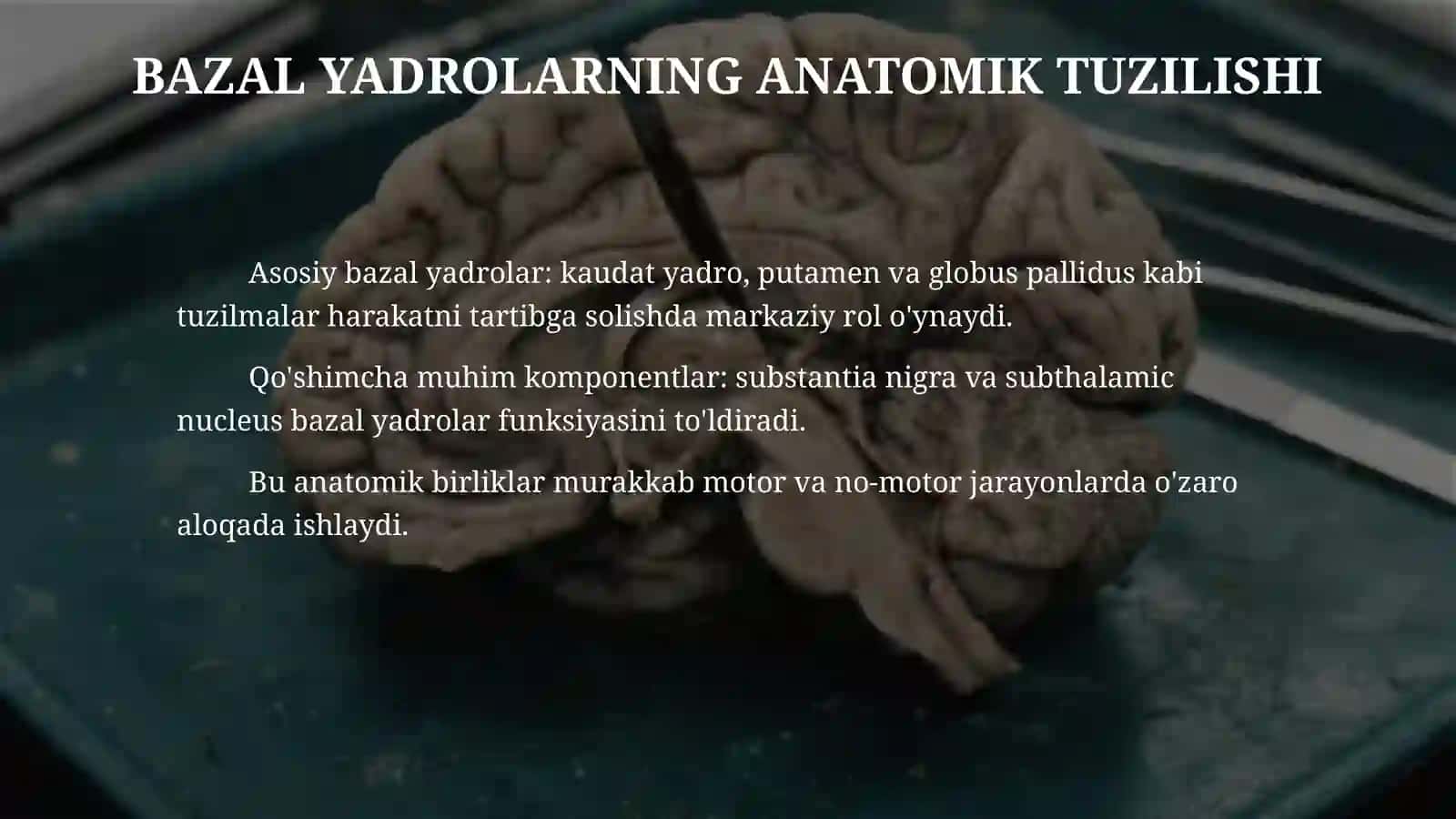 Bosh miya yarim sharlar postlogining fiziologiyasi.Bazal yadrolar 4