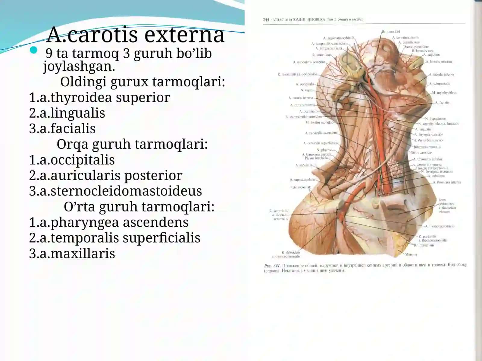 Boshmiyada qonaylanishi 4