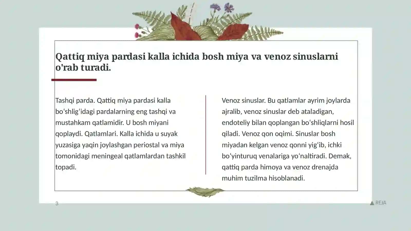 Kalla asoslari, miya pardalari va pardalararo bo'shliqlar 4
