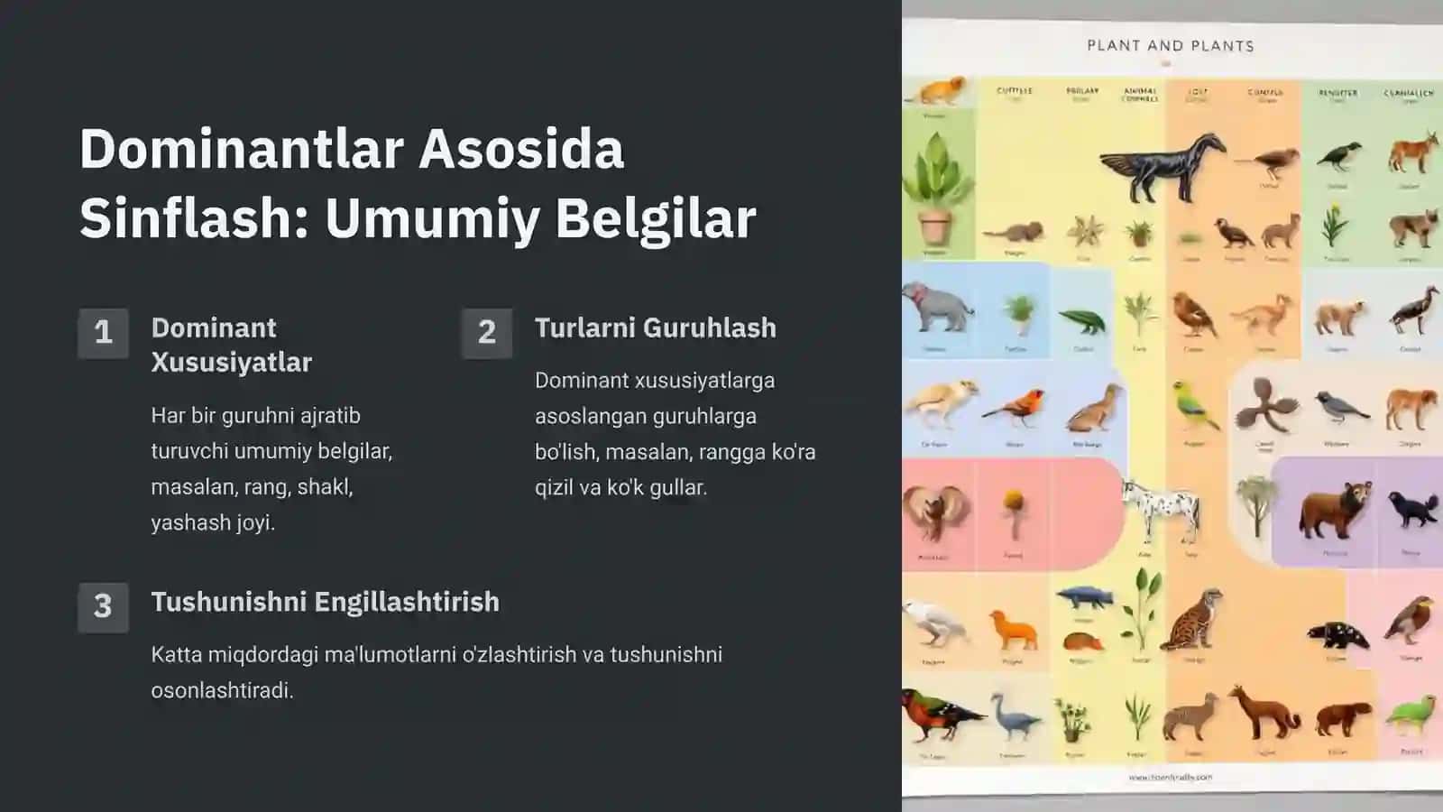 Sintaksonomiya va Taksonomiya: Dominantlar Bo'yicha Klassifikatsiya 4