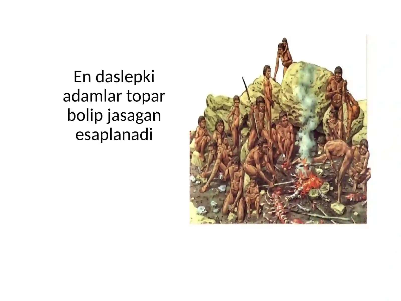 Insan evoluciyasi 4