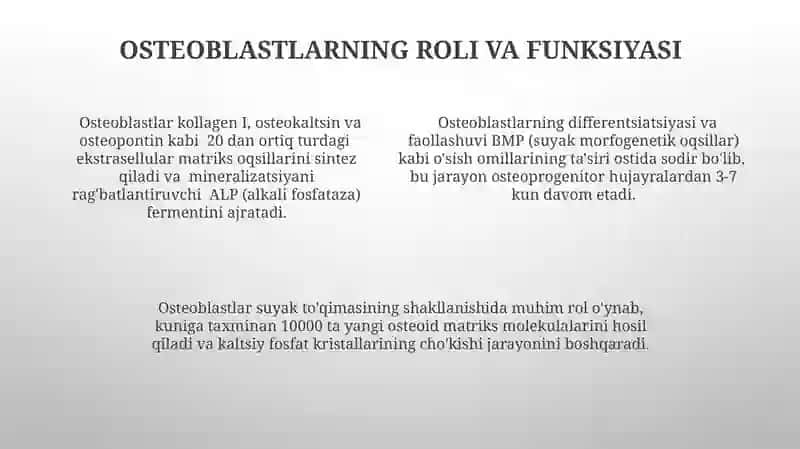 Qon hujayralariining fizologikva reparativ regeneratsiya mexanizmi 4