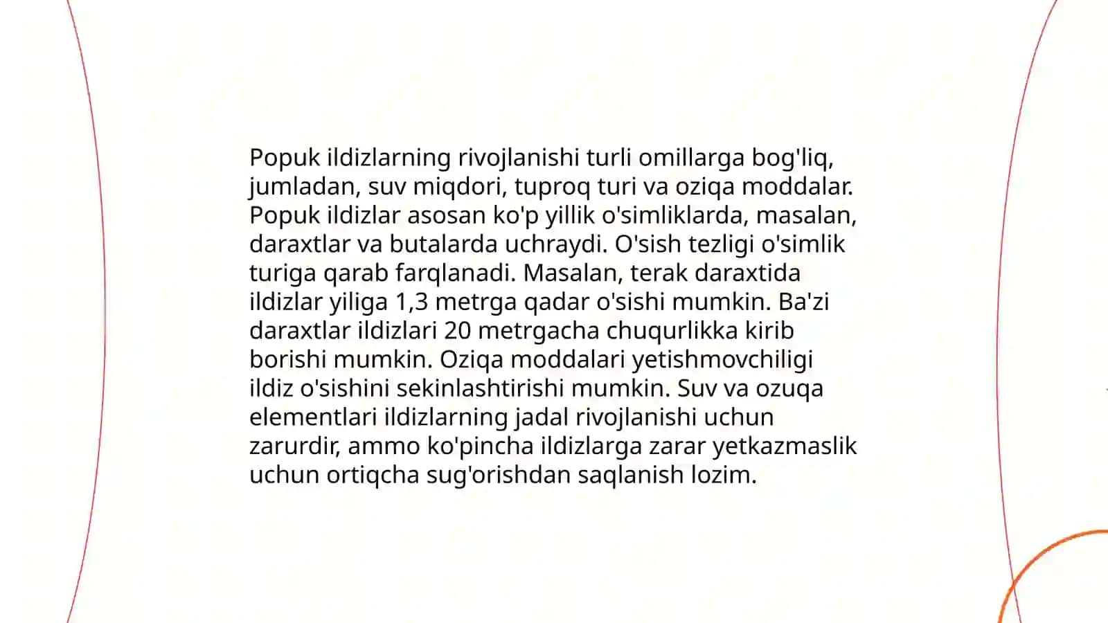 Popuk ildiz sistemasini 4