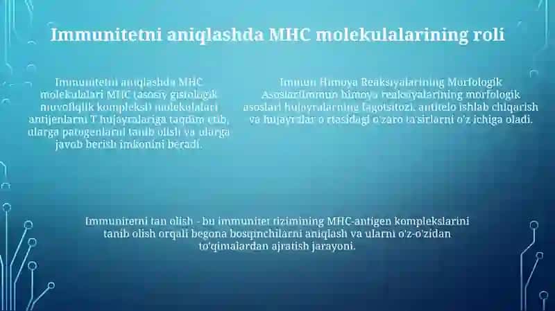 Immun Himoya Reaksiyalarining Morfologik Asoslari 4