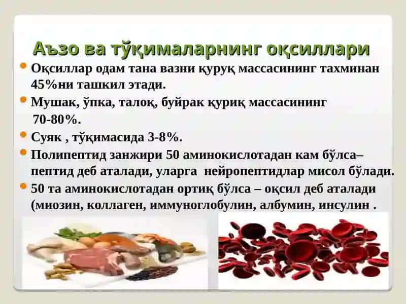 ОҚСИЛЛАР: ТУЗИЛИШИ ХОССАЛАРИ ВА БИОЛОГИК ВАЗИФАЛАРИ 4