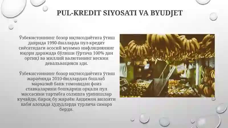 Oʻzbekistonning bozor iqtisodiyotiga oʻtish davri va xususiyatlari 4