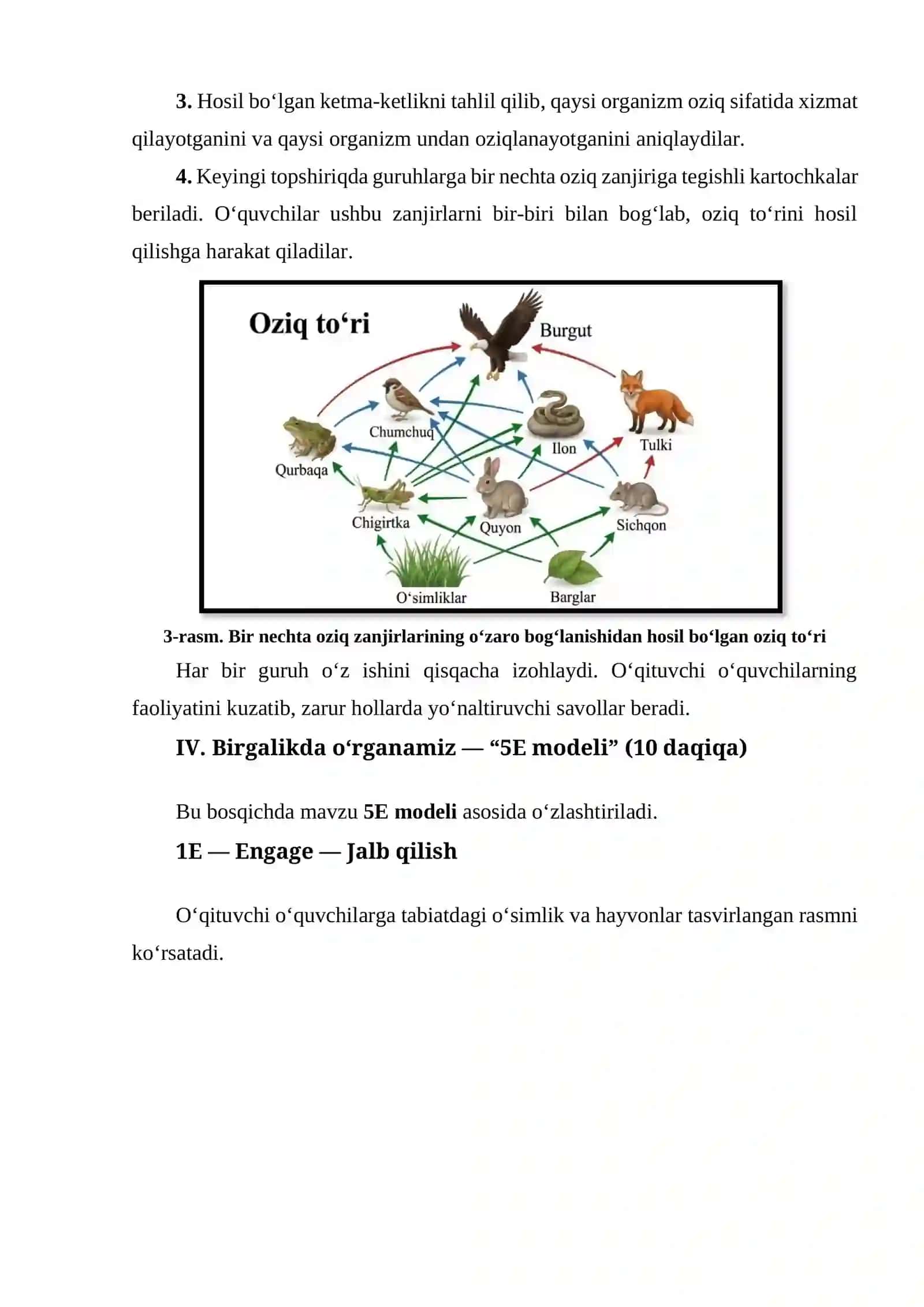 Oziq zanjiri va oziq to‘ri o‘qitish 4