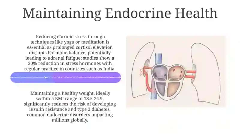 Endocrine system 4