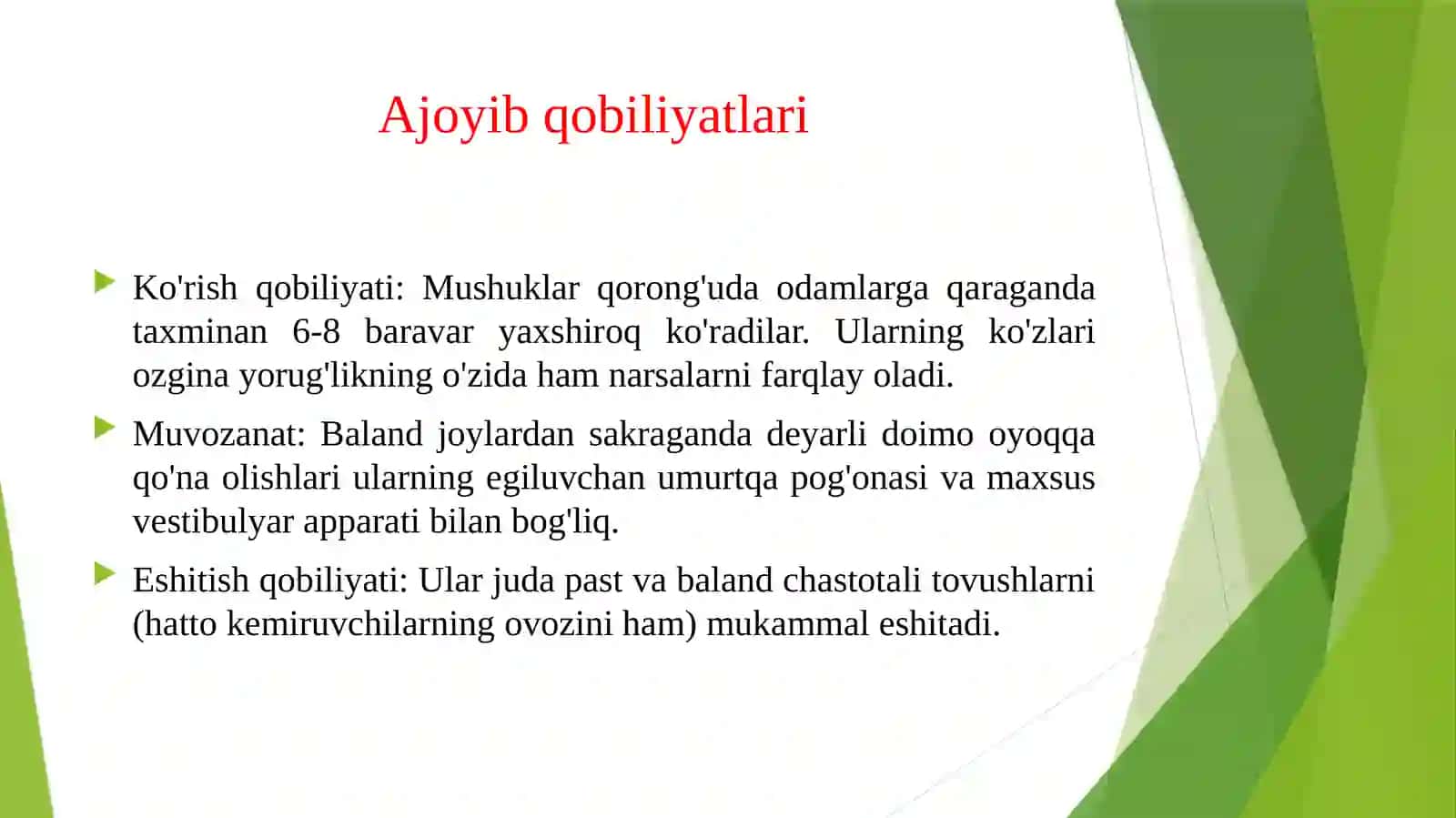 Mening sevimli jonvorim mushuk 4
