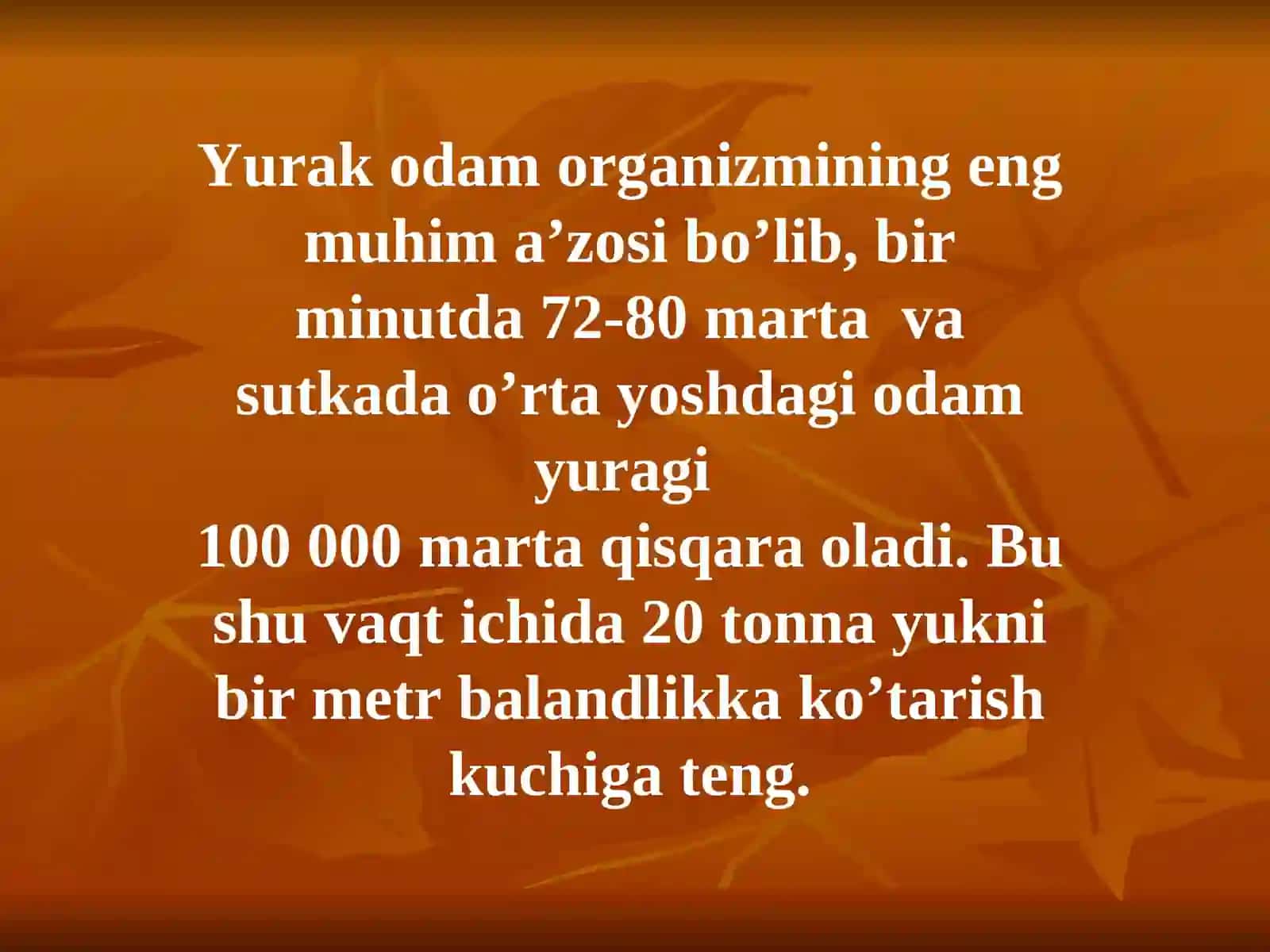 YURAK ANATOMIYASI 4