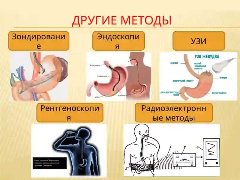 Пишеварительная система 4