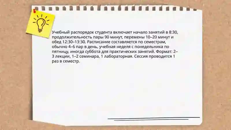 Студенческая жизнь 4