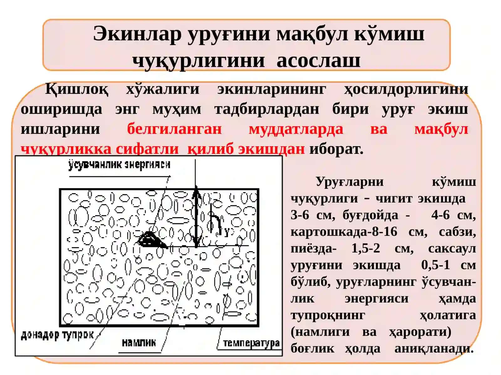 Экинлар уруғини экиш ва кўчатўтқазиш 4