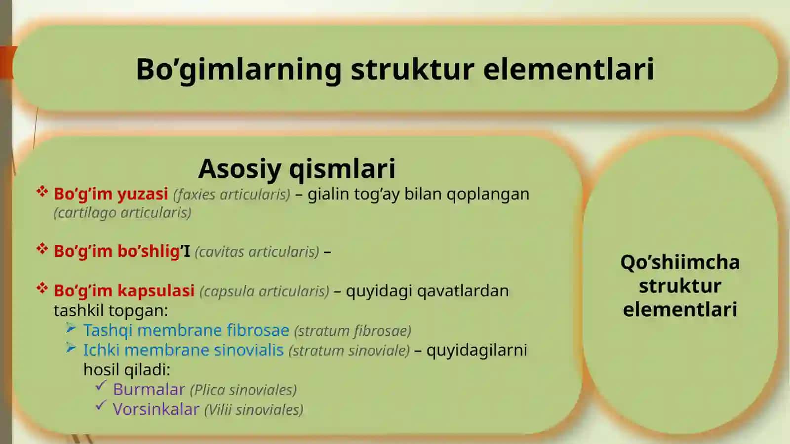 Artrosindesmologiyaga kirish. Umurtqa pog’onasi birikishi va boylamlari 4