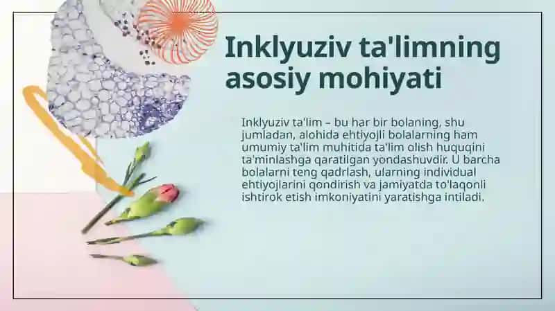 Alohida yordamga muhtoj bolalarning inklyuziv ta’limi yangi ta’limiy amaliyot sifatida 4