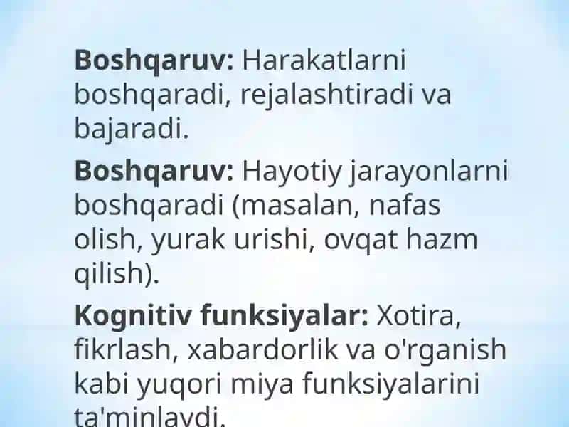 Markaziyasabtizimi(MAT) 4