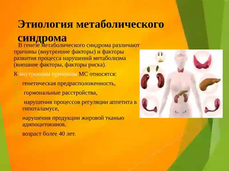 Влияние питания на возникновение Метаболического синдрома 4