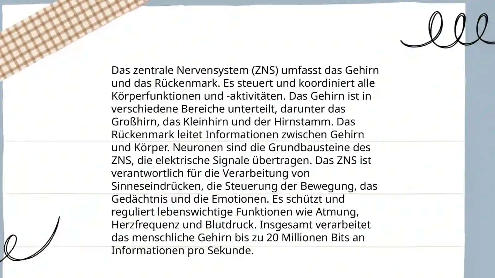 Nerven system 4