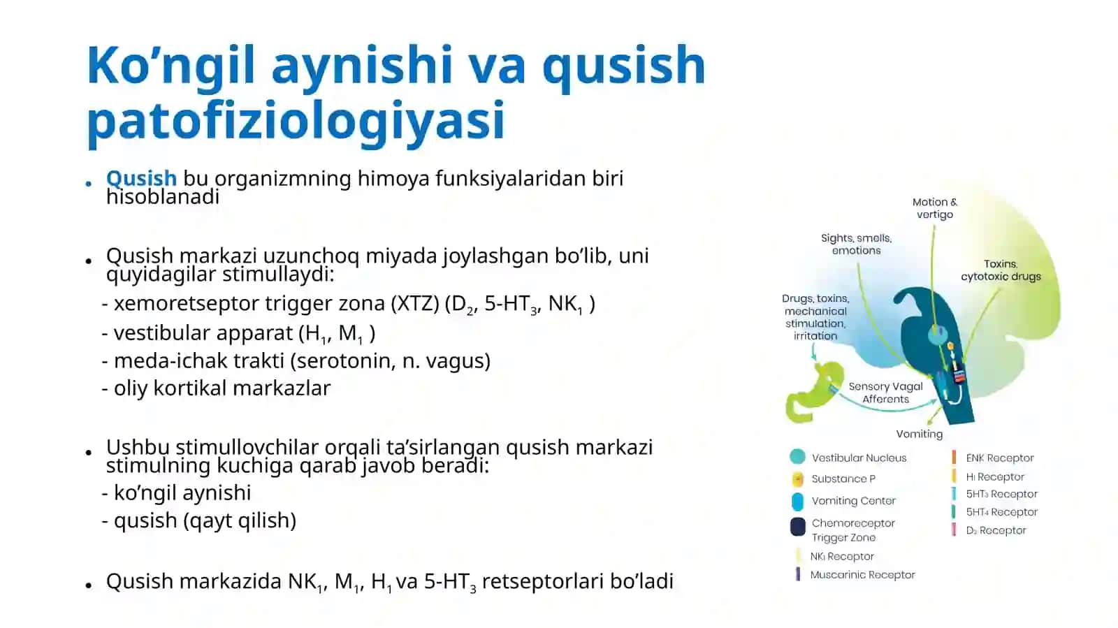 HAZM TIZIMIGA TA’SIR QILUVCHI DORILAR(1-QISM) 4