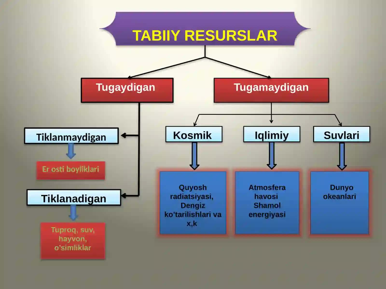 Tabiiy resurslar klassifikatsiyasi va ularning mohiyati 4