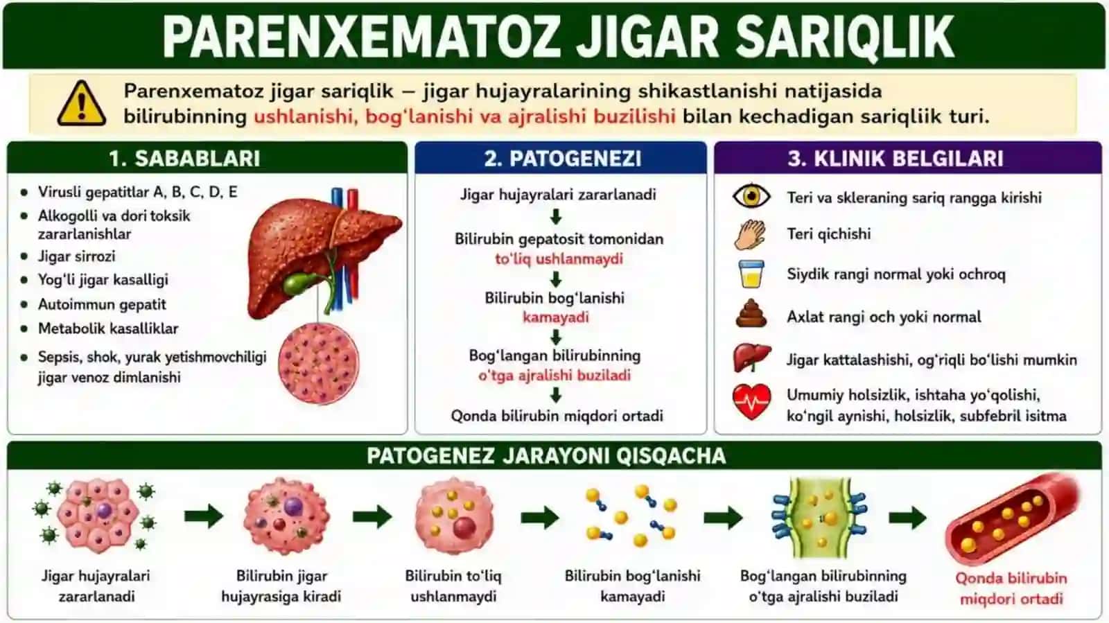 SARIQLIK VA PORTAL GIPERTENZIYA SINDROMLARI, JIGAR SIRROZI VA JIGAR YETISHMOVCHILIGI: KLINIK SIMPTOMOLOGIYASI, TEKSHIRUV USULLARI VA DAVOLASH TAMOYILLARI 4