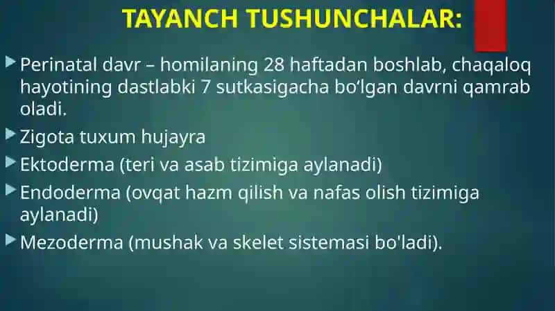Онтогенезнингилкбосқичларидапсихикривожланишхусусиятлари 4