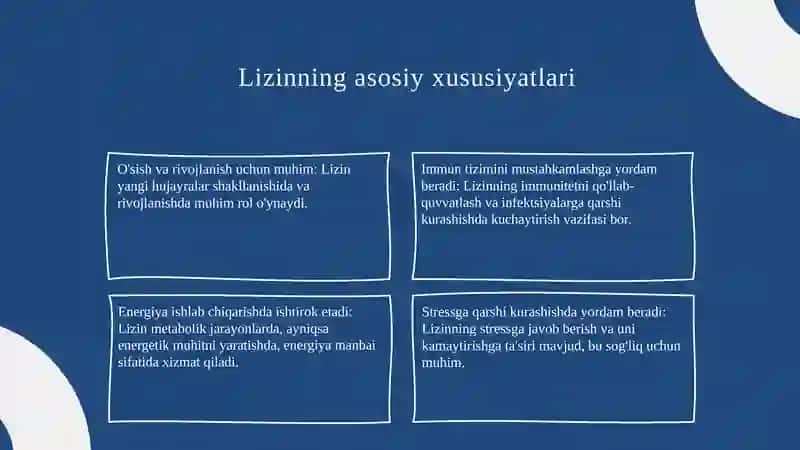 Lizinning afzalliklari 4