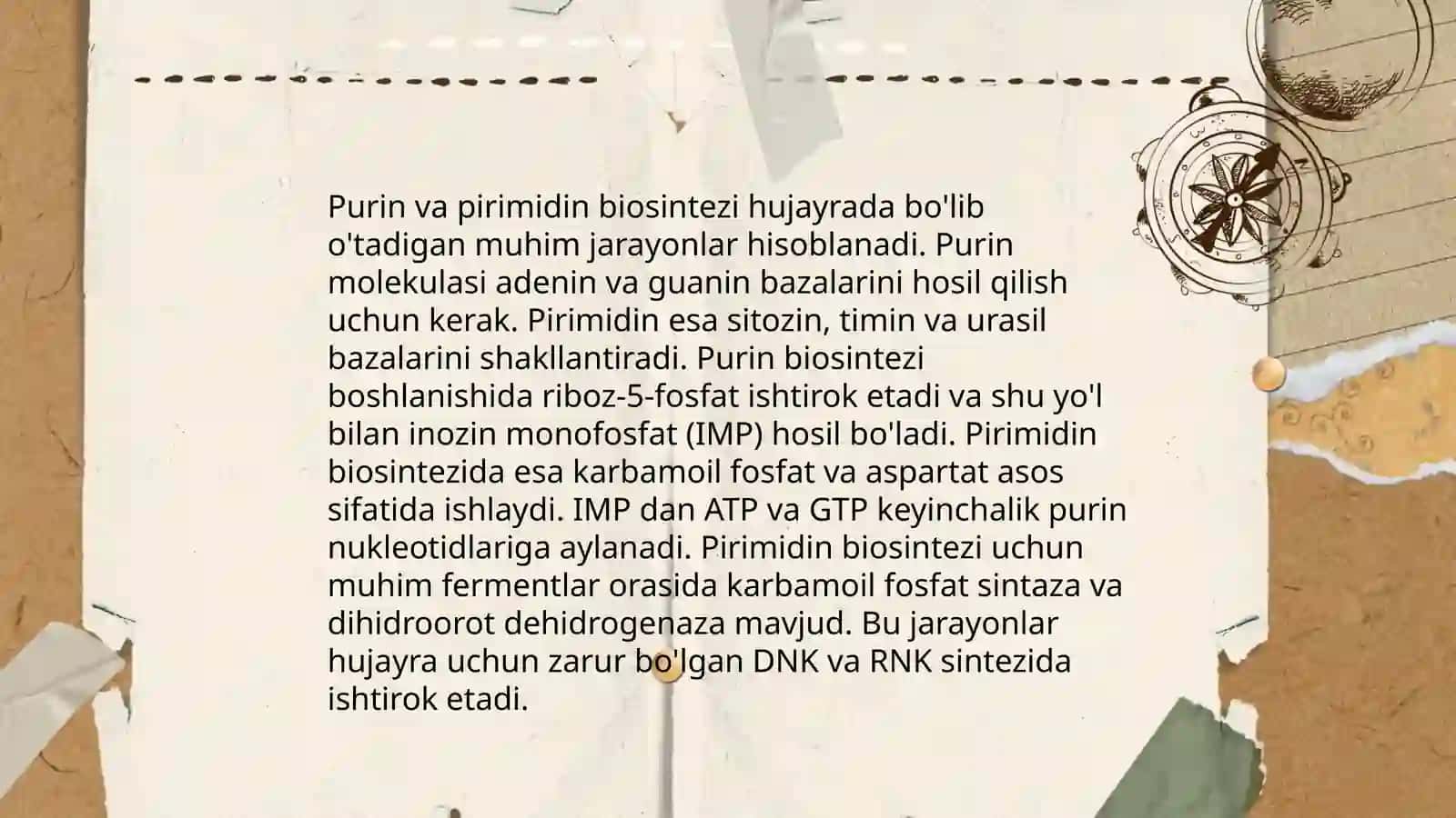 Purin va Perimedin asoslari 4