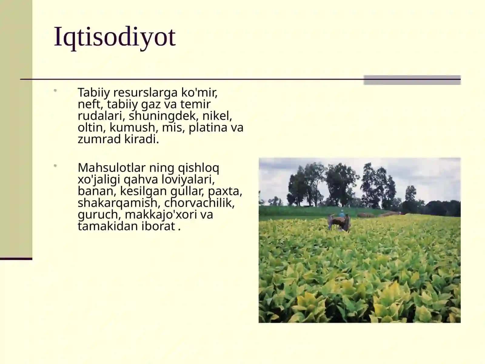 Kolumbiya iqtisodiyoti 4