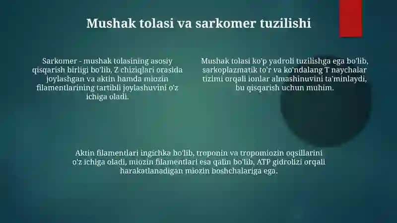 Mushakto‘qimasi 4