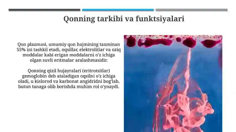 Qondaki s'orod va karbonat angidrid tashilishining mexanizmlari 4