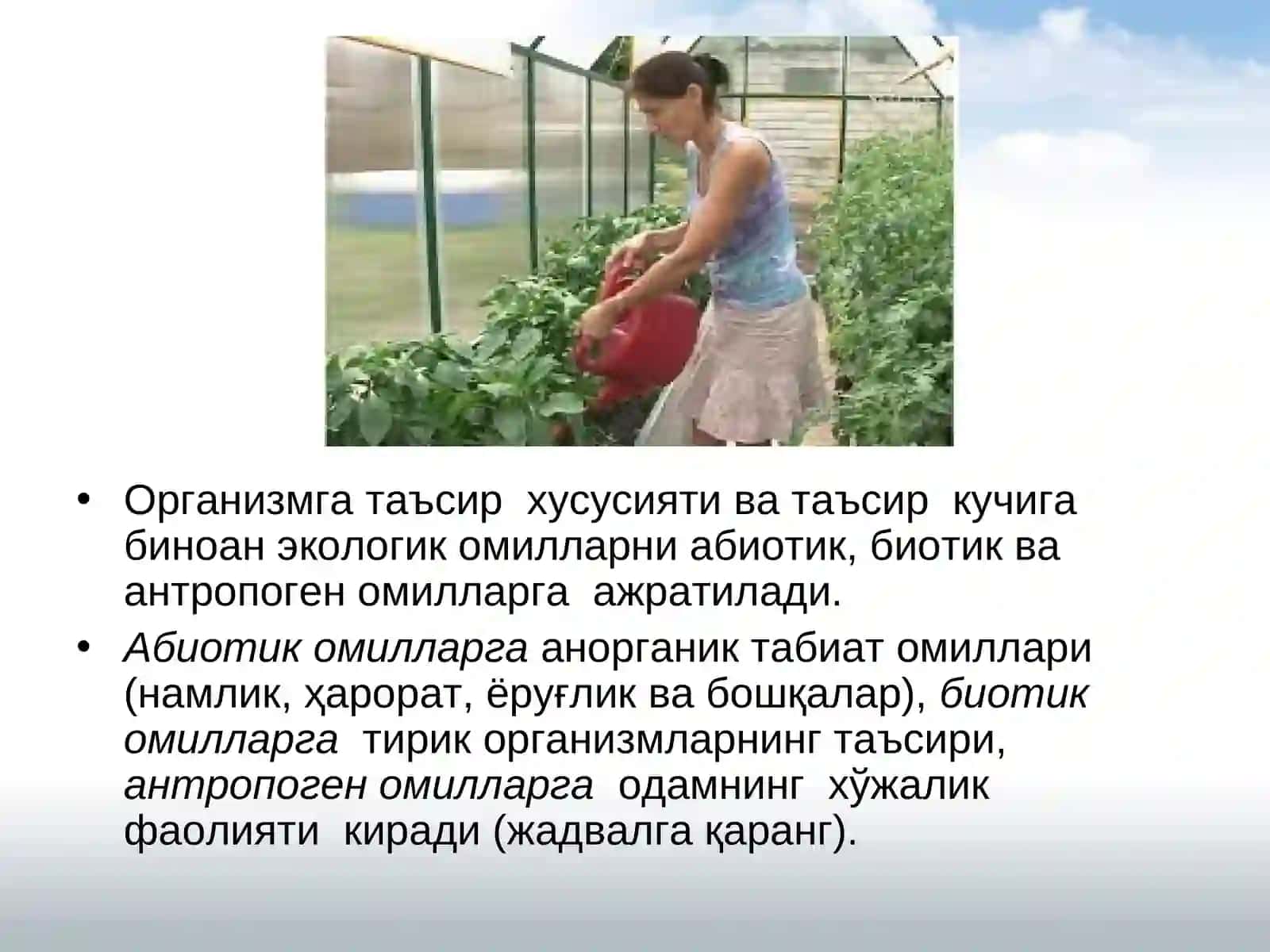 Чекловчи ва оптимал омиллар 4