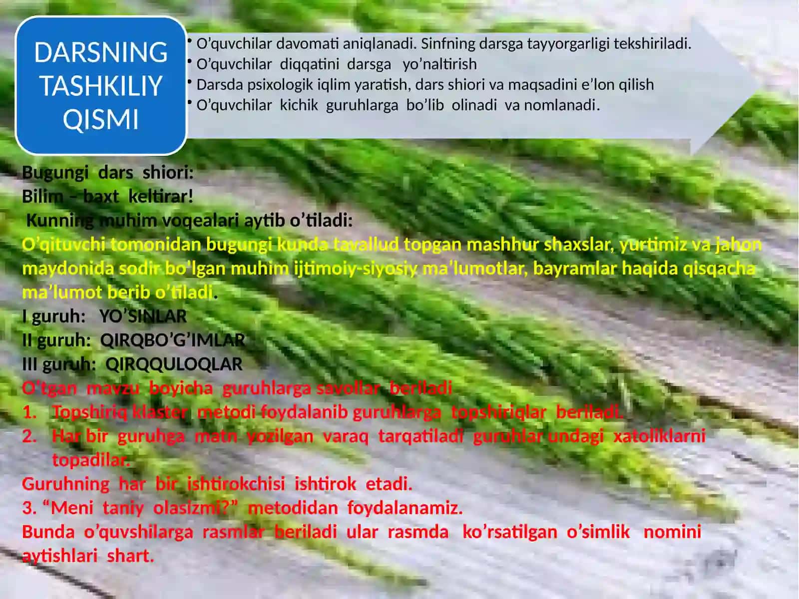 Qirqbo’g’imlar bo’limi 4