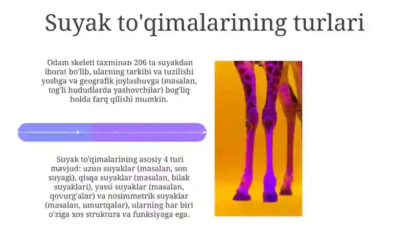Skelet to'qimasi va tog'ay to'qimalarining tasnifi 4