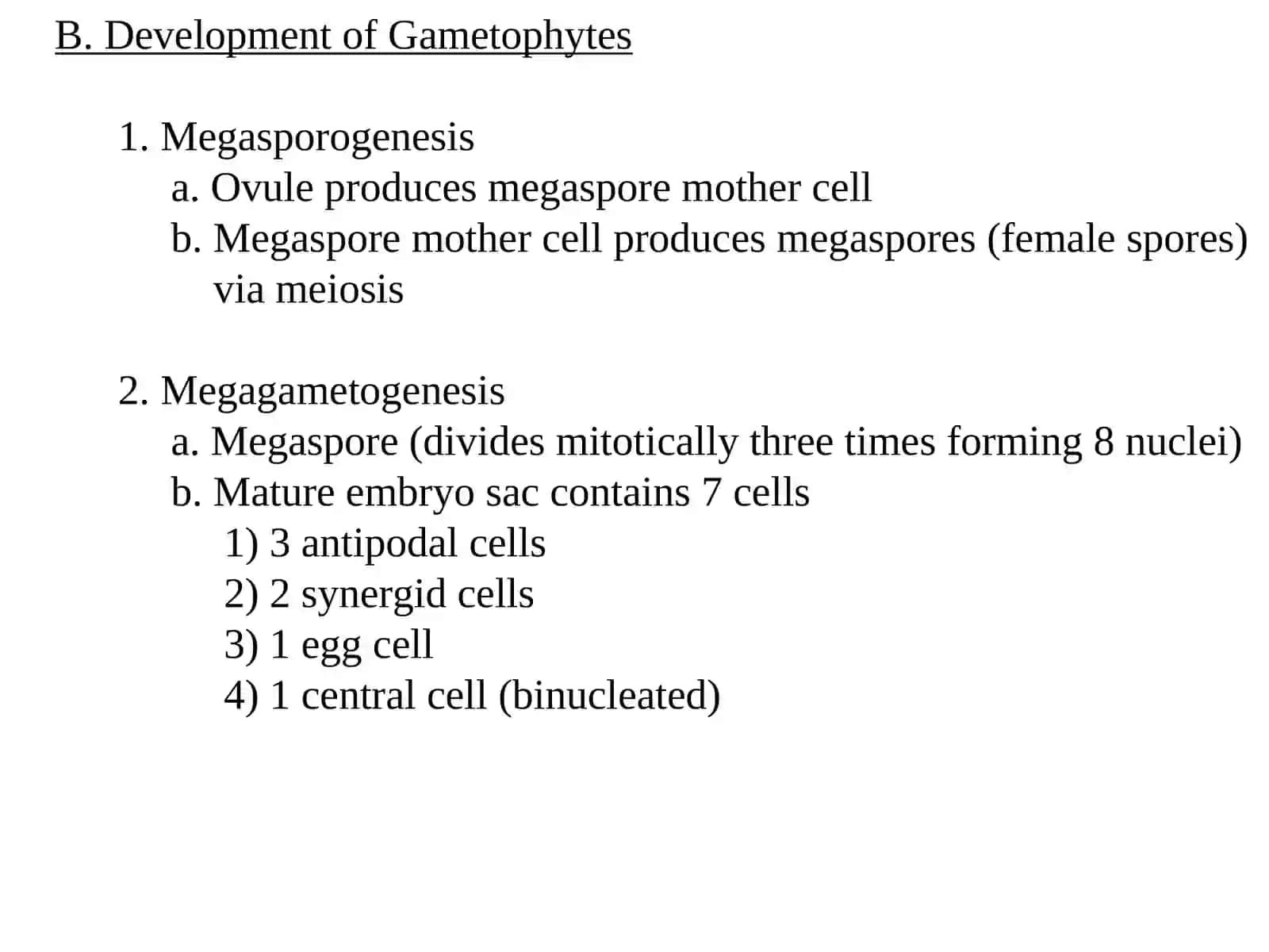 Angiosperms 4