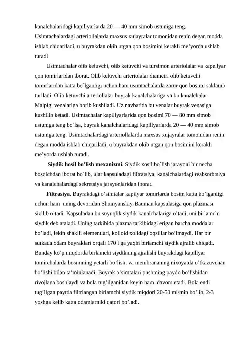 Ayruv Tizimi 4