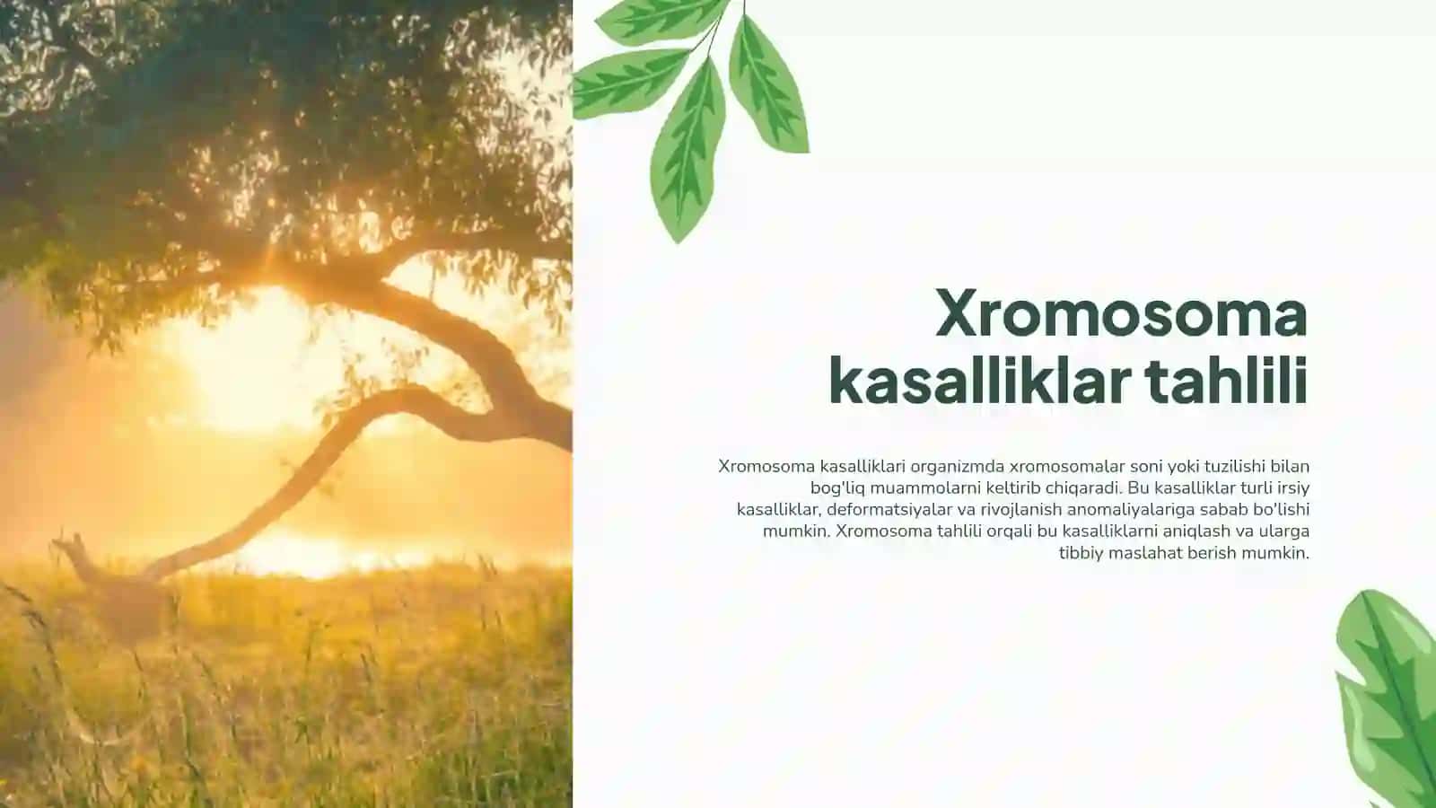 Biologiya fanidan taqdimot 4