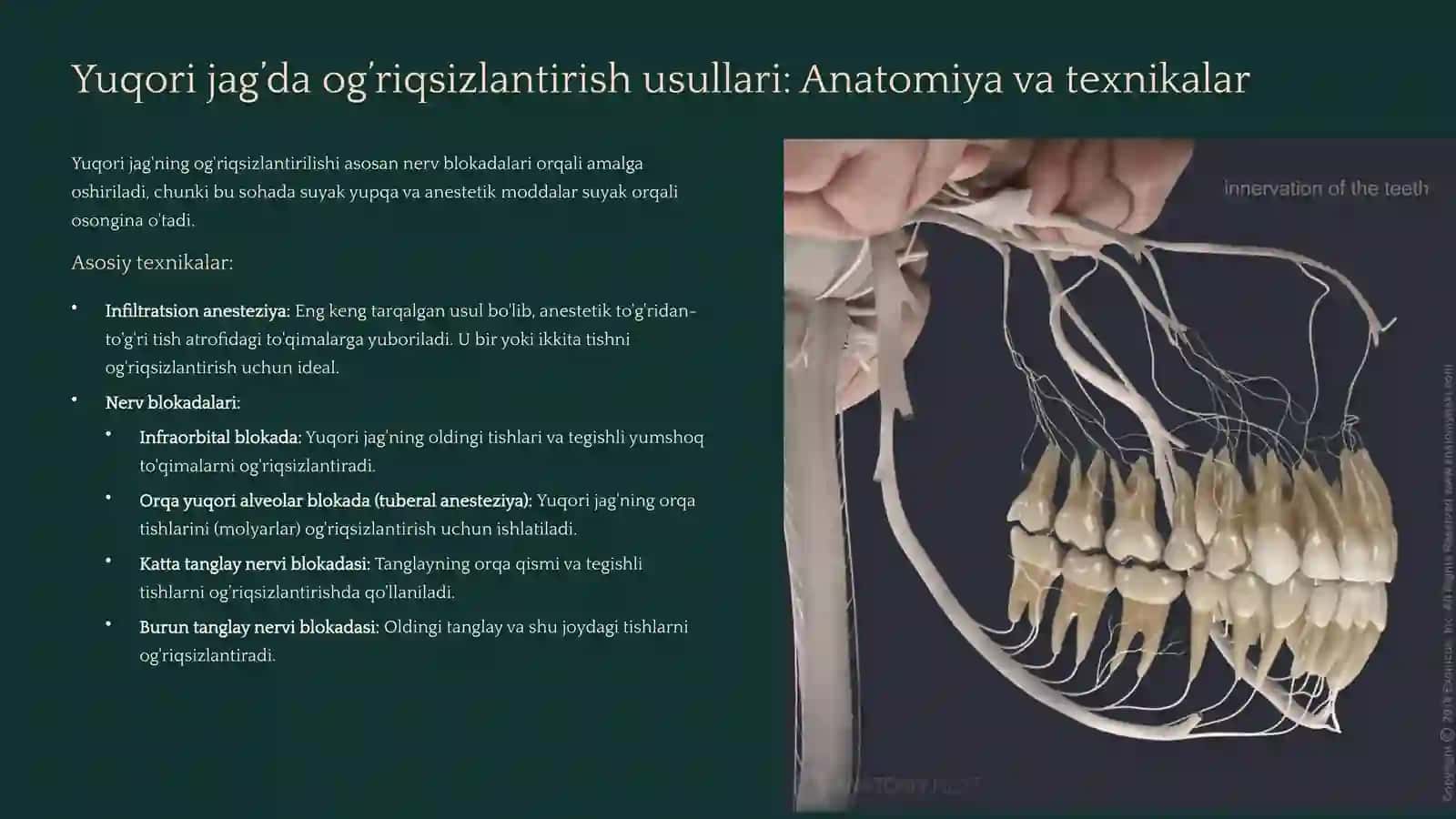 Yuqori va pastki jag’da markaziy og’riqsizlantirish usullari 4